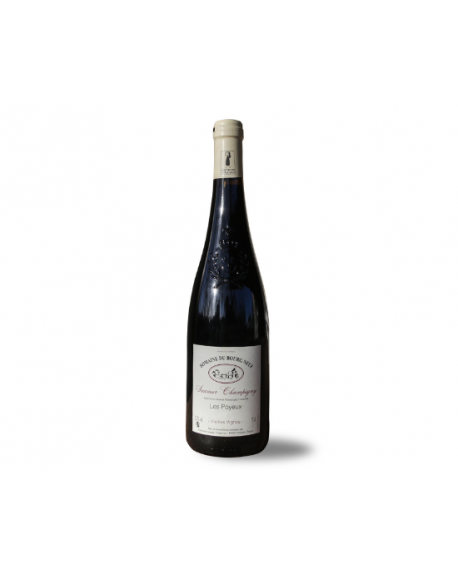 Domaine du Bourgneuf Saumur Champigny Vieilles Vignes AOP 2019