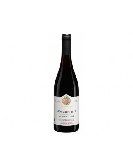 Domaine Guillot-Gonin Morgon AOP Les Grands Cras Tasteviné 2016