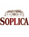 Soplica 1891